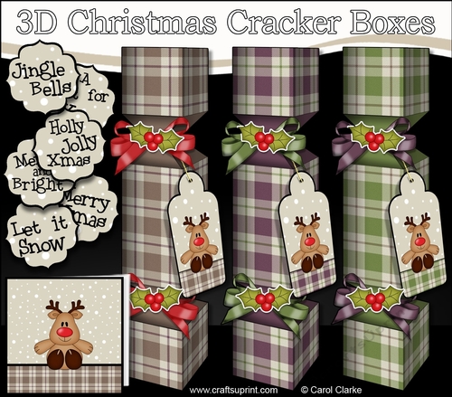 3D Christmas Cracker Boxes Tartan Penguin Little Rudy
