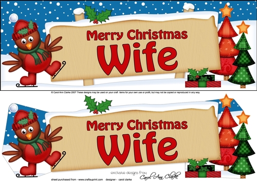 large DL Christmas WIFE Robin Signpost 3d decoupage