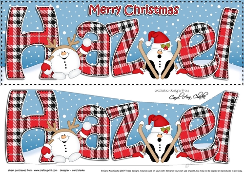 Large DL Merry Christmas HAZEL 3D decoupage 