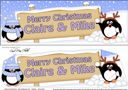 Large DL Merry Christmas CLAIRE & MIKE 3D decoupage 