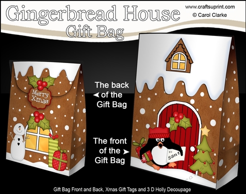 3D Christmas Little Pip Penguin has a Letter for Santa at the Gingerbread House Gift Bag Mini Kit
