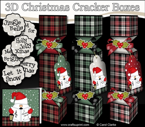 3D Christmas Cracker Boxes Tartan Snowball Sam goes Carol Singing