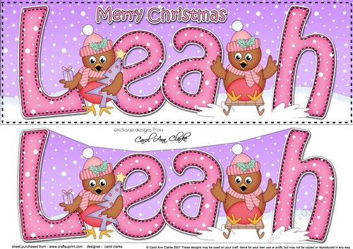 Large DL Merry Christmas LEAH 3D decoupage