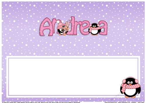 Large DL Merry Christmas ANDREA insert