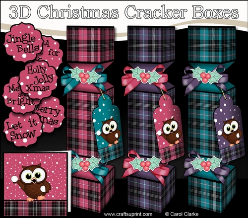 3D Christmas Cracker Boxes Tartan Little Hoot Owl has a Snowball Fight
