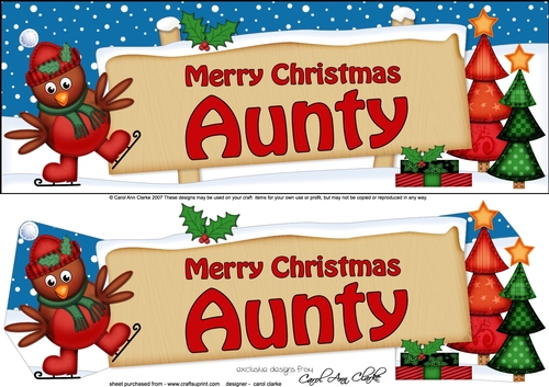 large DL Christmas AUNTY Robin Signpost 3d decoupage