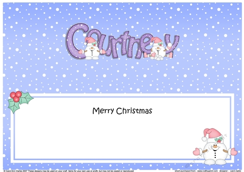 Large DL Merry Christmas COURTNEY insert