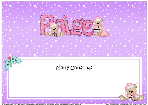 Large DL Merry Christmas PAIGE insert