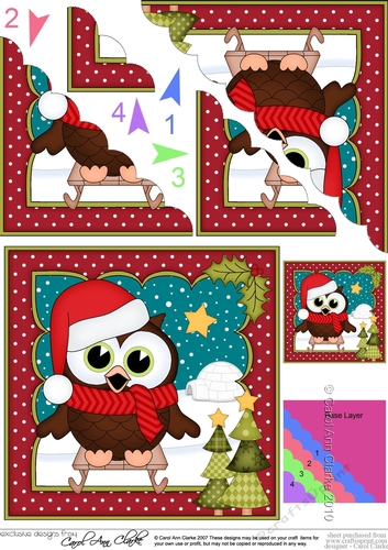 Christmas Little Hoot Owl goes Sledging Scallop Corner Topper