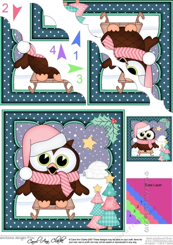 Christmas Little Hoot Owl goes Sledging Scallop Corner Topper