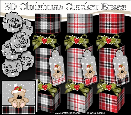 3D Christmas Cracker Boxes Tartan Cute Little Teddy Bear