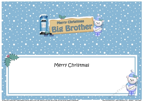 Large DL Christmas BIG BROTHER Teddy Signpost insert