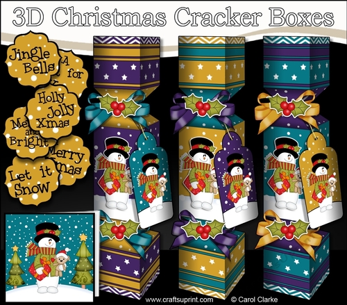 3D Christmas Cracker Boxes Snowman Rio has a Present & Teddy