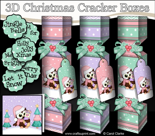3D Christmas Cracker Boxes Cute Little Hoot Owl has a Christmas Stocking