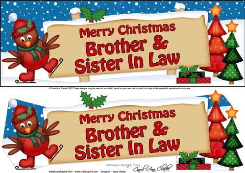 large DL Christmas BROTHER & SISTER IN LAW Robin Signpost 3d decoupage