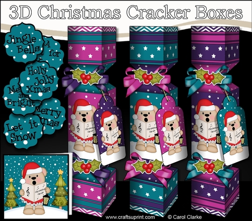 3D Christmas Cracker Boxes Christmas Carol Singing Livvy Bear