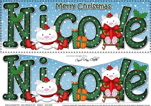 Large DL Merry Christmas NICOLE 3D decoupage