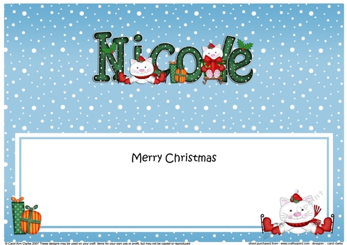 Large DL Merry Christmas NICOLE insert