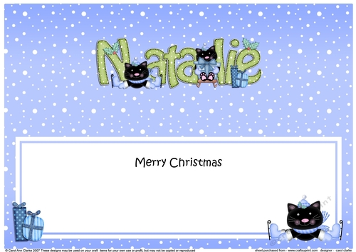 Large DL Merry Christmas NATALIE insert