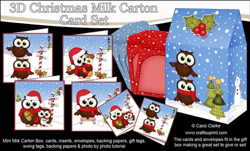3D Christmas Little Hoot Owls Cards in a Mini Milk Carton Bumper Kit