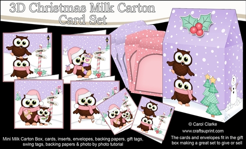 3D Christmas Little Hoot Owls Cards in a Mini Milk Carton Bumper Kit