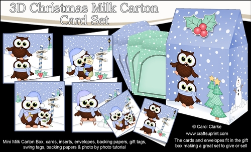 3D Christmas Little Hoot Owls Cards in a Mini Milk Carton Bumper Kit