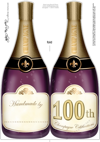Large DL Happy 100th Birthday Champagne Bottle Shaped Card