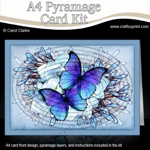 A4 Butterflies & Flowers Oval Pyramage Kit
