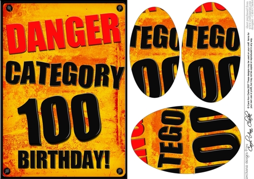 A5 Fun Novelty 100th Birthday Oval Pyramage Topper