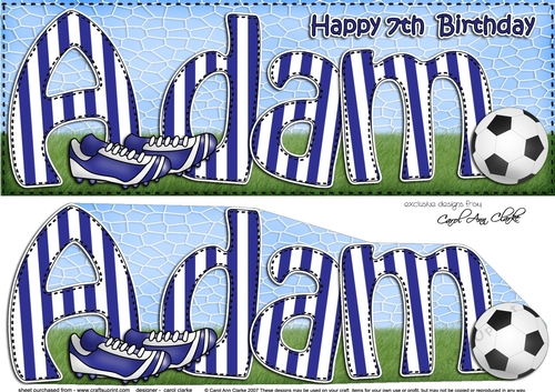 Large DL 7th Birthday ADAM 3D decoupage