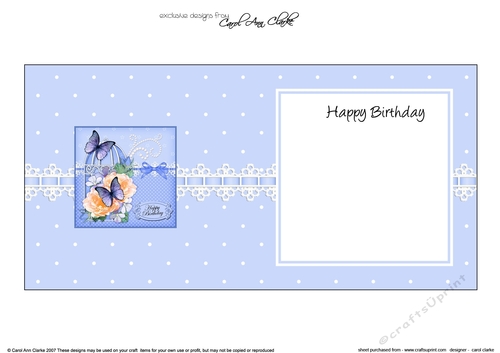 Birthday Butterflies and Roses Birdcage High square landscape insert