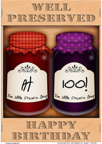 A4 Novelty Well Preserved 100th Birthday Jams Topper