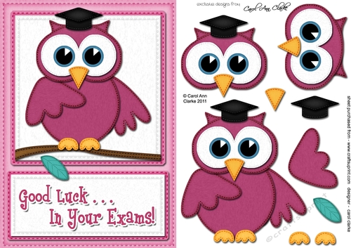 A5 Wise Owl Good Luck Exam Felties quick card 3D decoupage