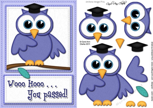 A5 Wise Owl Exam Congrats Felties quick card 3D decoupage