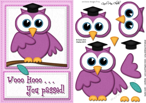 A5 Wise Owl Exam Congrats Felties quick card 3D decoupage