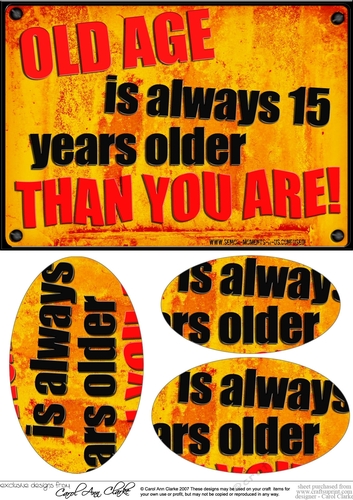 A5 Old Age Fun Novelty Senior Moment Saying Oval Pyramage Topper