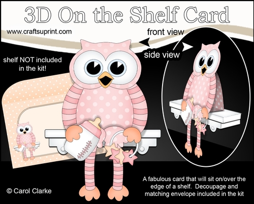 3D On the Shelf Card Kit - Little Hoot Baby Owl