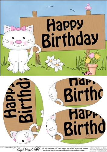 A5 HAPPY BIRTHDAY Little Cat Oval Pyramage Topper