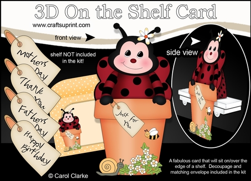 3D On the Shelf Card Kit - Flower Pot Friends Little Ladybird Bugs