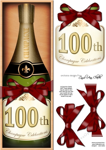 Large DL 100th Birthday Champers in a Box Quick Card & 3D Decoupage