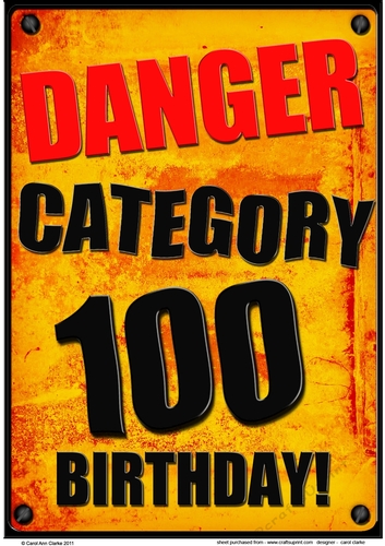 A4 Fun Novelty 100th Birthday Card Topper