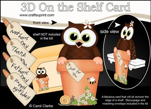 3D On the Shelf Card Kit - Flower Pot Friends Little Hoot Owl