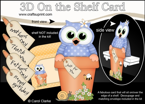 3D On the Shelf Card Kit - Flower Pot Friends Little Hoot Owl