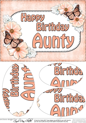 A5 Birthday AUNTY Butterflies & Flowers Oval Pyramage Topper