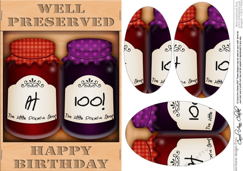 A5 Novelty Well Preserved 100th Birthday Jams Pyramage Topper
