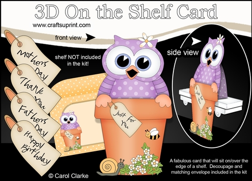 3D On the Shelf Card Kit - Flower Pot Friends Little Hoot Owl