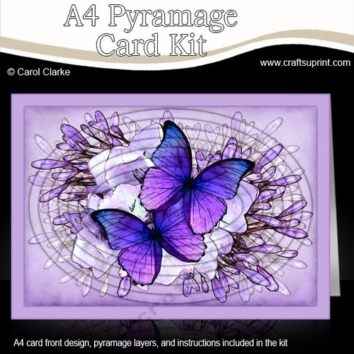 A4 Butterflies & Flowers Oval Pyramage Kit