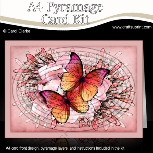 A4 Butterflies & Flowers Oval Pyramage Kit