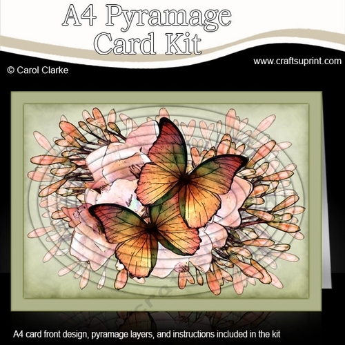 A4 Butterflies & Flowers Oval Pyramage Kit