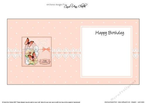 Birthday Butterflies & Spring Bouquet Birdcage High square landscape insert